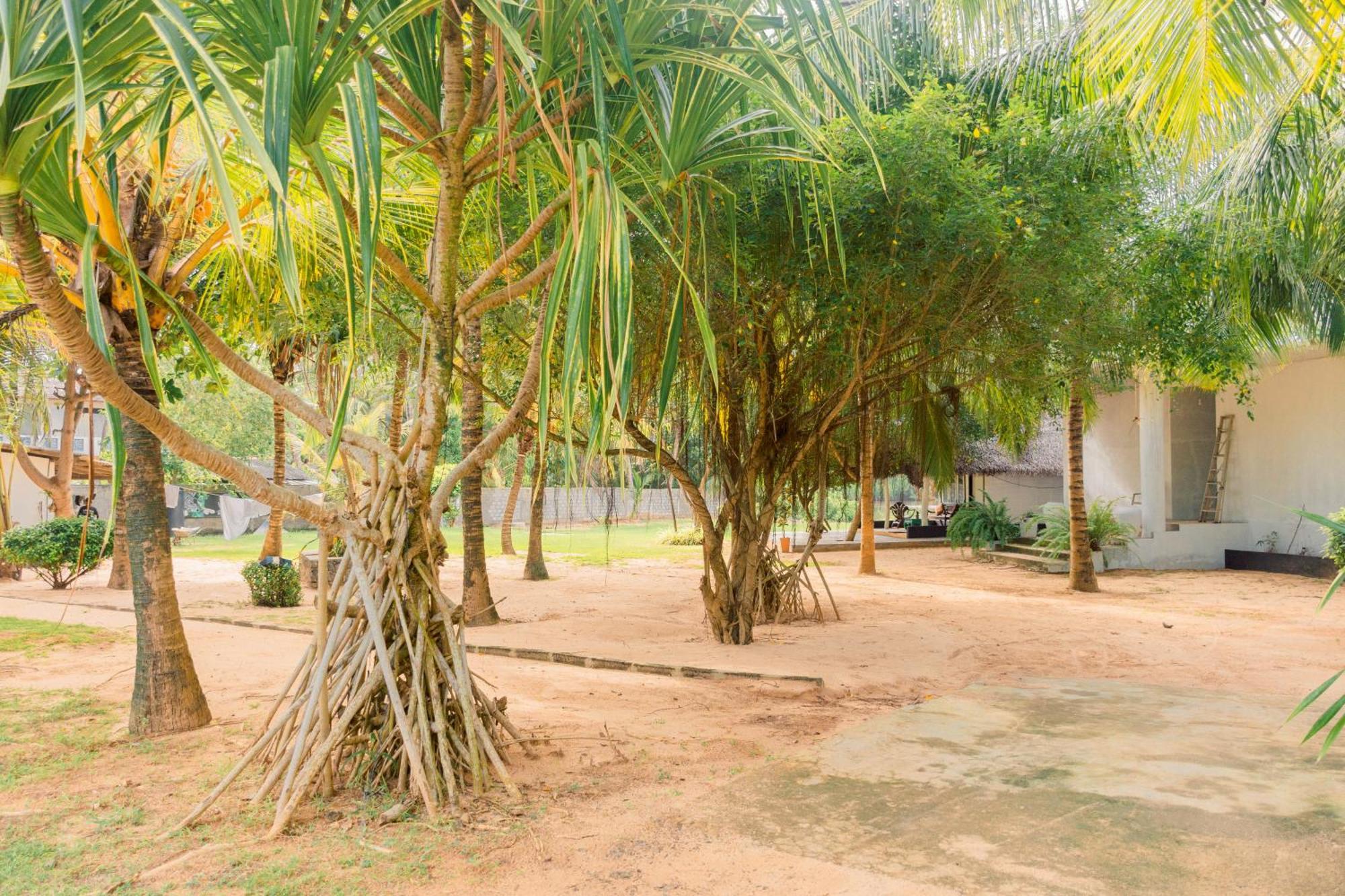 Harmony Beach Bungalows Tangalle Exterior foto